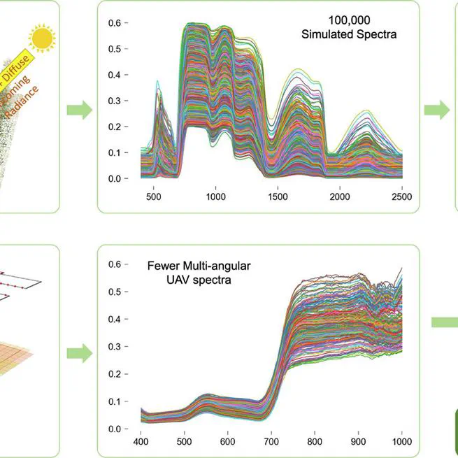 PROSAIL-Net: A transfer learning-based dual stream neural network to estimate leaf chlorophyll and leaf angle of crops from UAV hyperspectral images